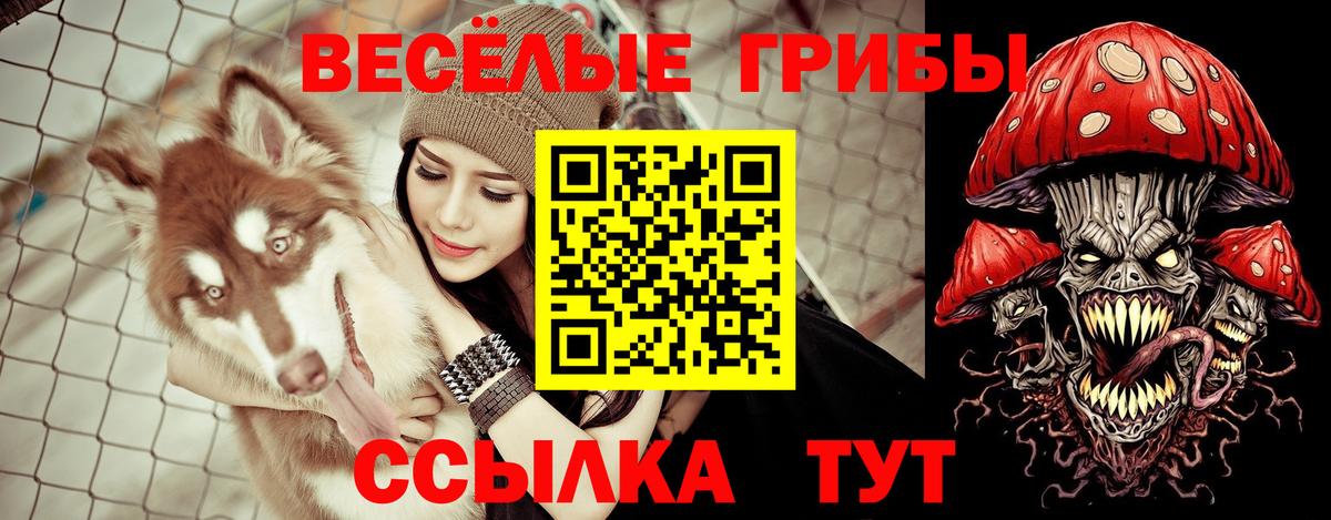 Галлюциногенные грибы мухоморы  Вход с VPN  Камышин 